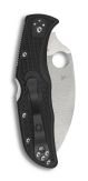 Endela Wharncliffe